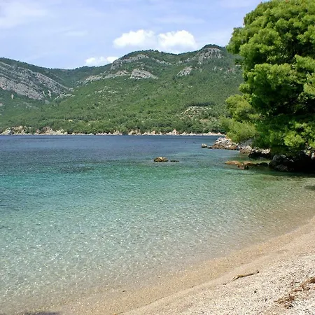 4573b Žuljana